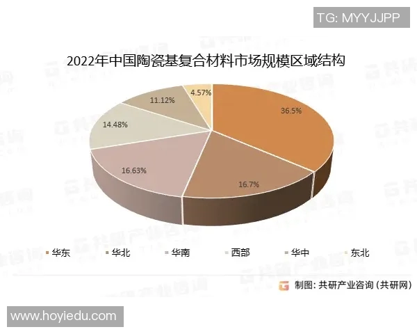 厄德高在球场上的精彩表现与未来发展潜力分析